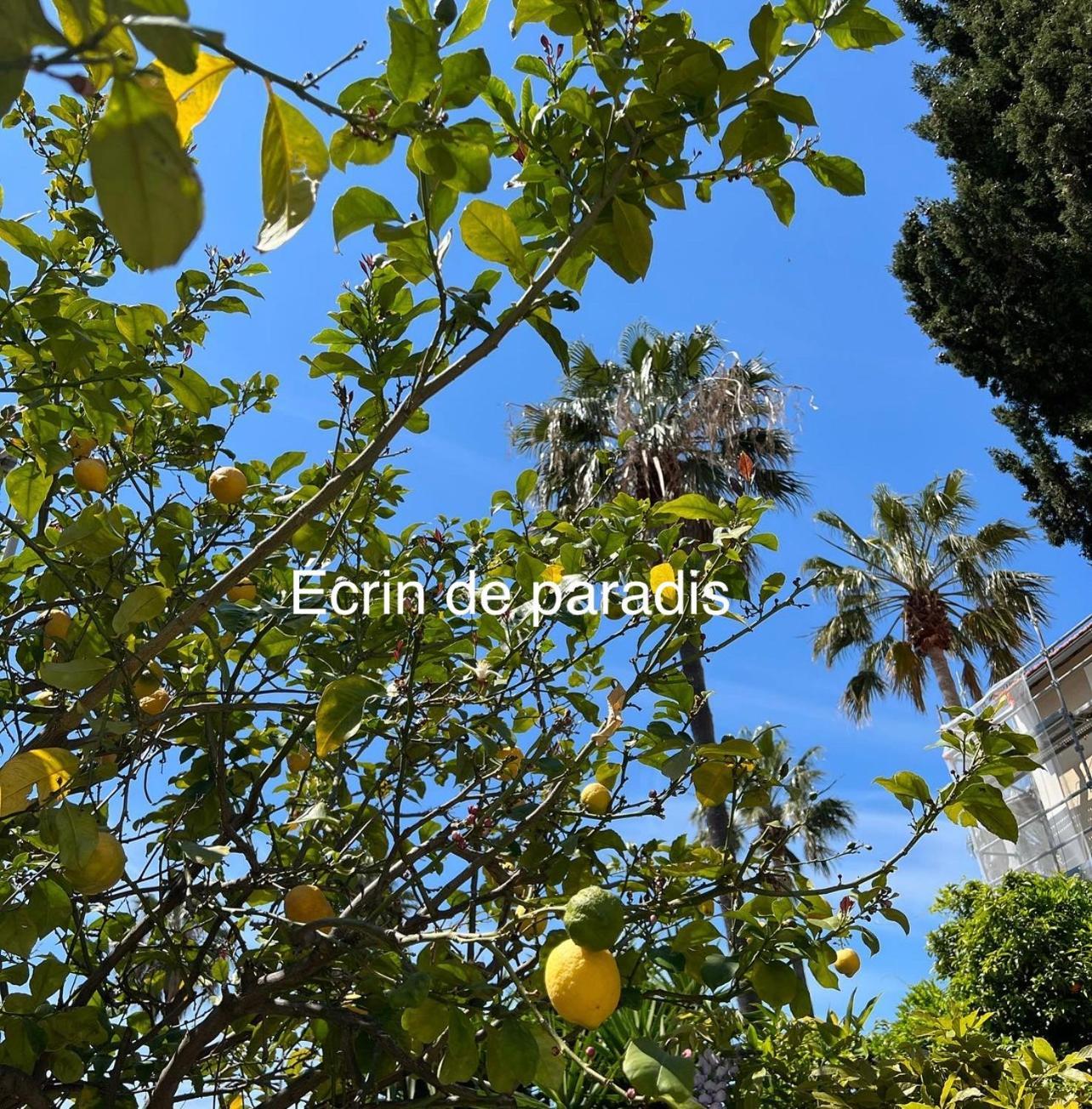 Casa Andrea Appartement Tout A Pied Avec Grand Jardin Sanary-sur-Mer Exteriér fotografie