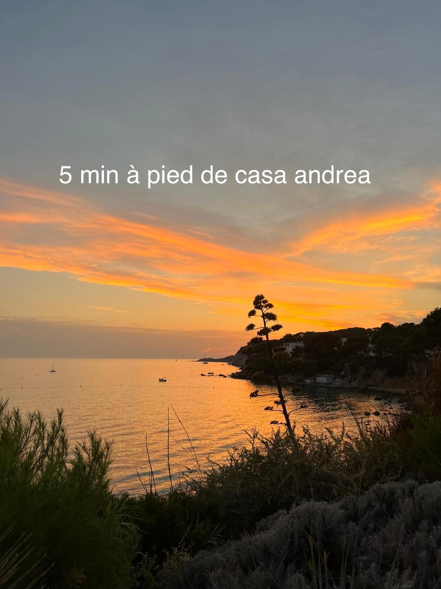 Casa Andrea Appartement Tout A Pied Avec Grand Jardin Sanary-sur-Mer Exteriér fotografie